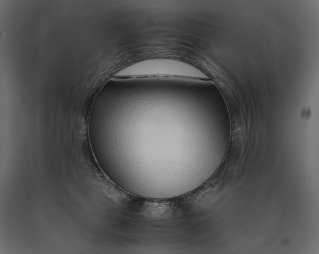 X0000090470469200708031309