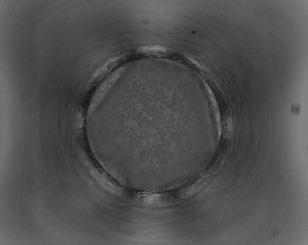 X0000090470472200708031309