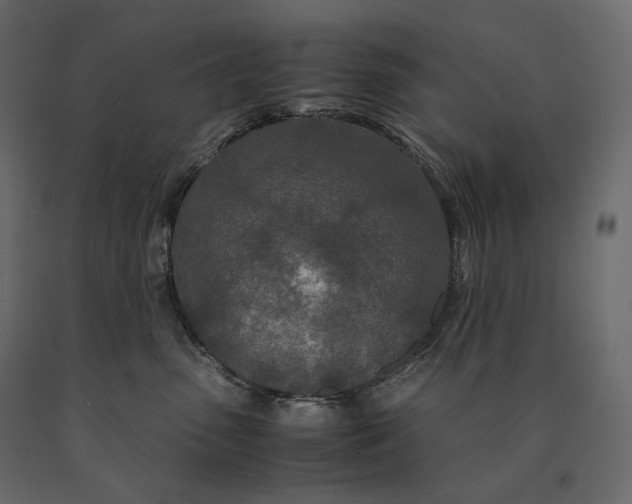 X0000090470475200708031309