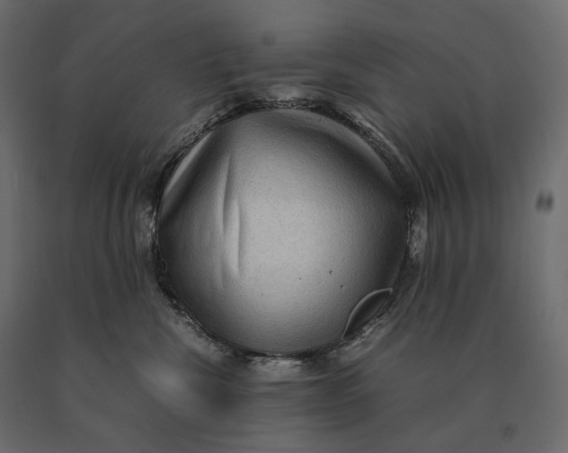 X0000090470476200708031309