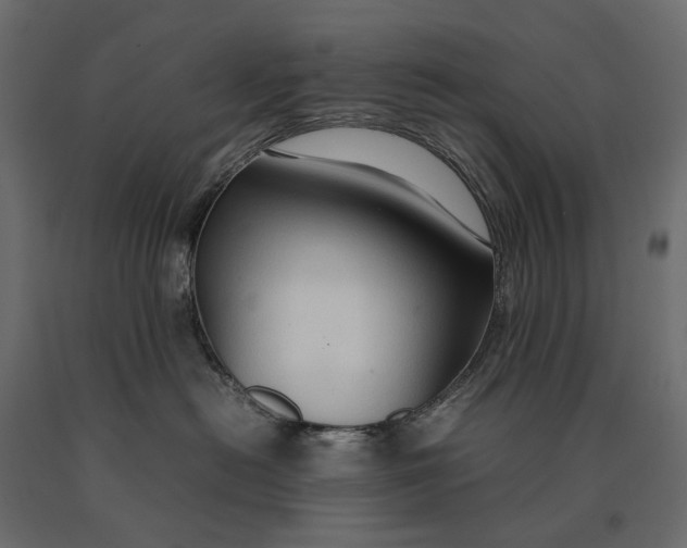 X0000090470478200708031309