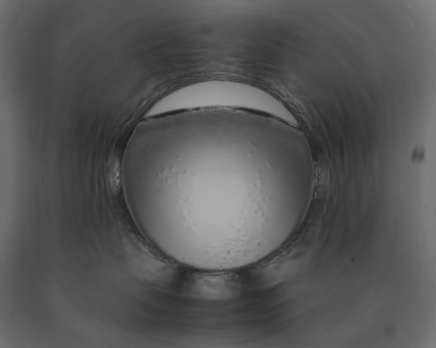 X0000090470479200708031309