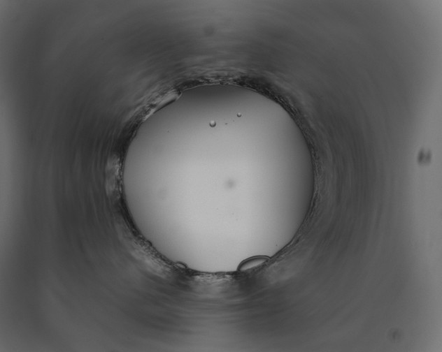 X0000090470480200708031309