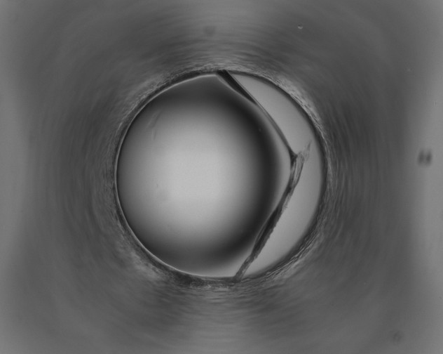 X0000090470481200708031308