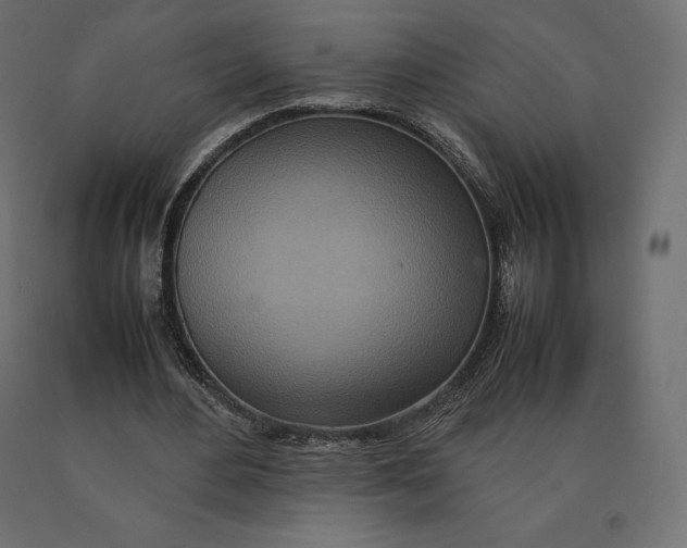 X0000090470484200708031308