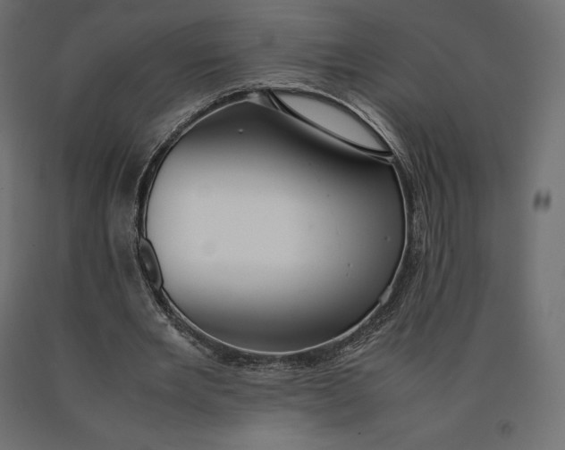 X0000090470485200708031308