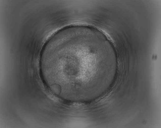 X0000090470487200708031308