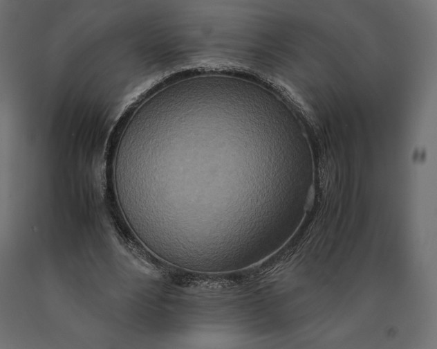 X0000090470488200708031308