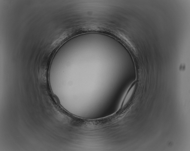 X0000090470489200708031308