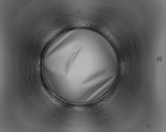 X0000090470490200708031308