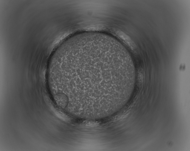 X0000090470491200708031308