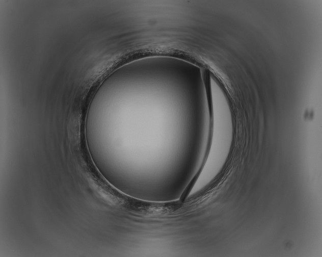 X0000090470493200708031308