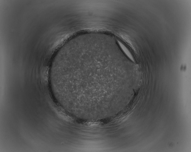 X0000090470495200708031308