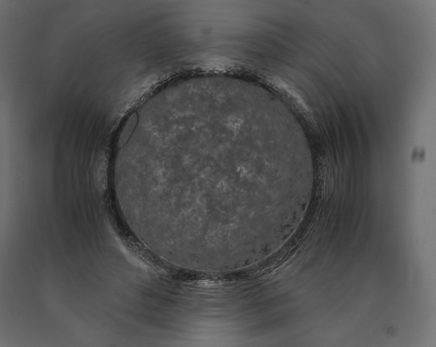 X0000090470496200708031308