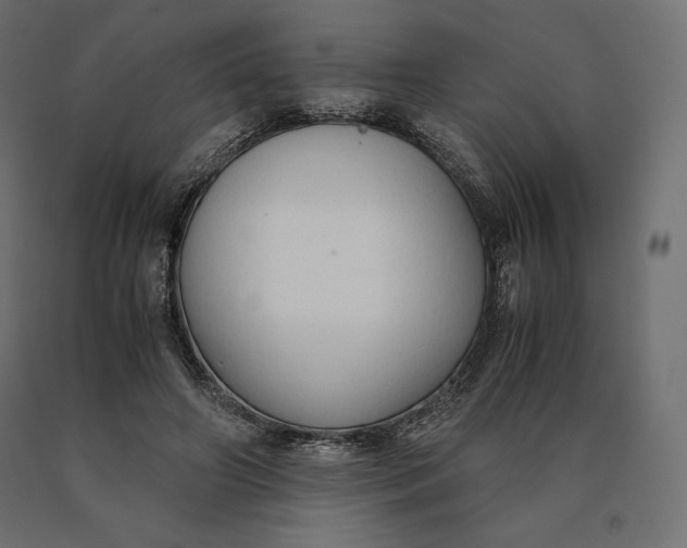 X0000090470498200708031308