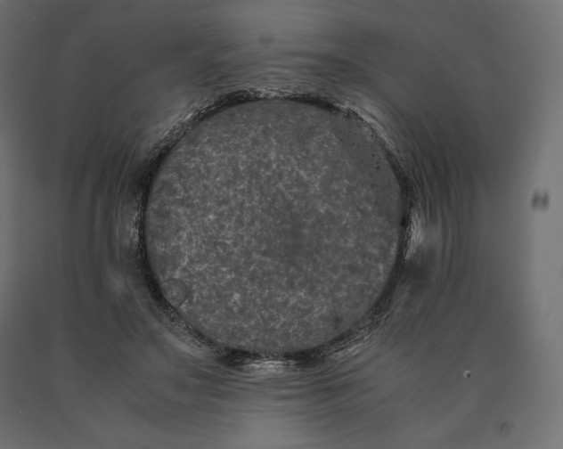 X0000090470499200708031308