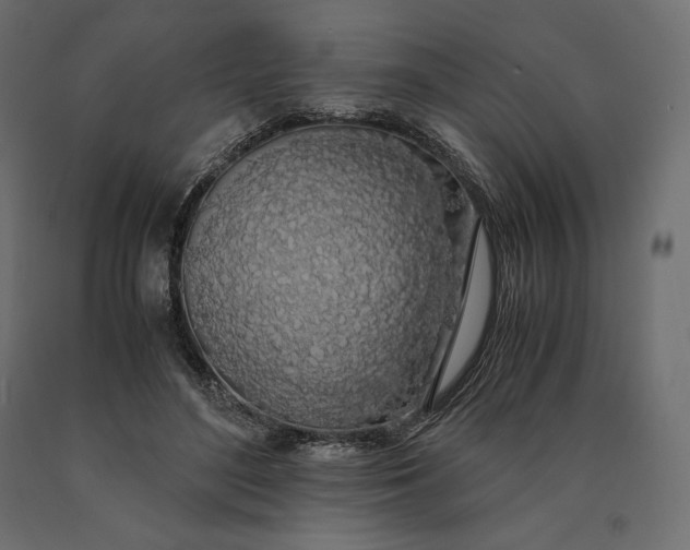 X0000090470500200708031308