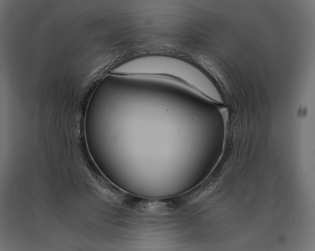 X0000090470501200708031308