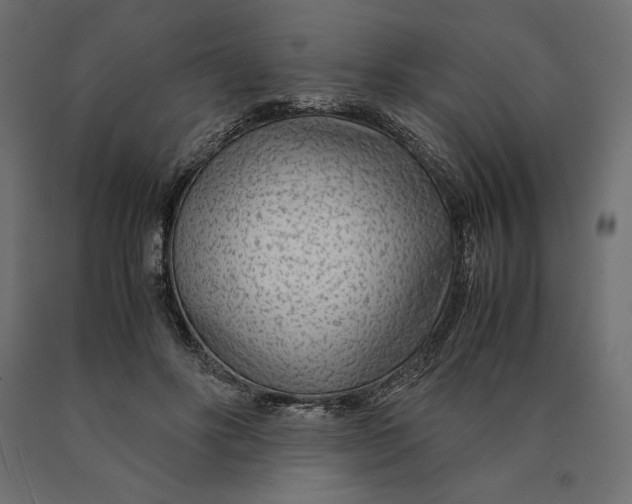 X0000090470502200708031308