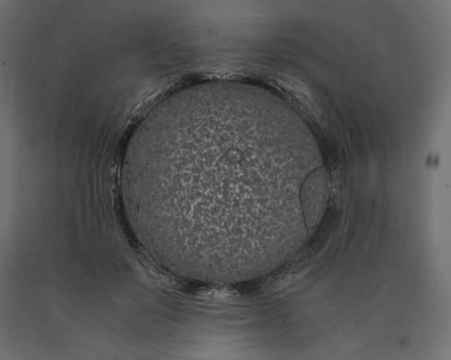 X0000090470503200708031308