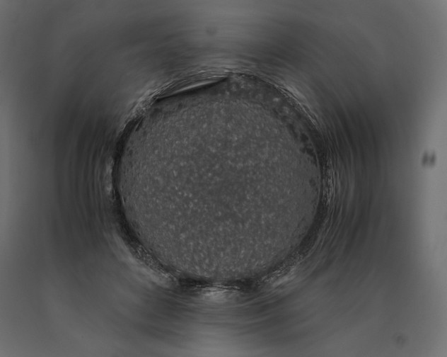 X0000090470504200708031308