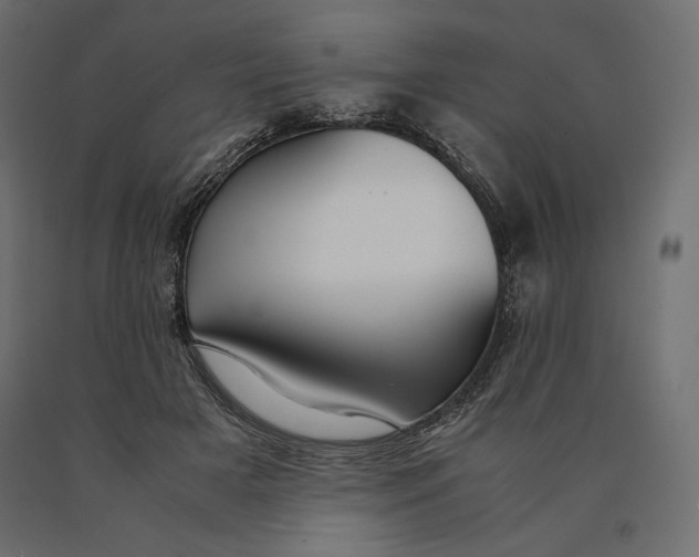 X0000090470505200708031308