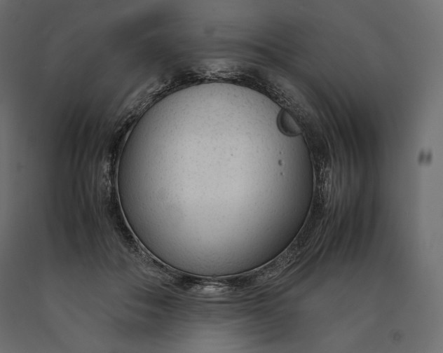 X0000090470506200708031308