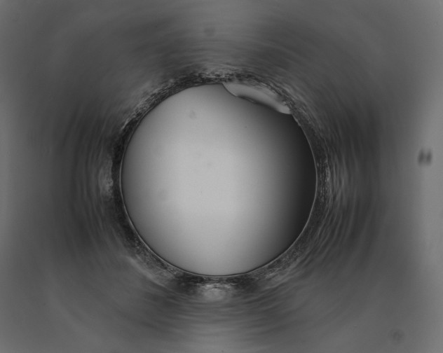 X0000090470508200708031308