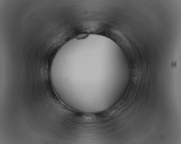 X0000090470510200708031308