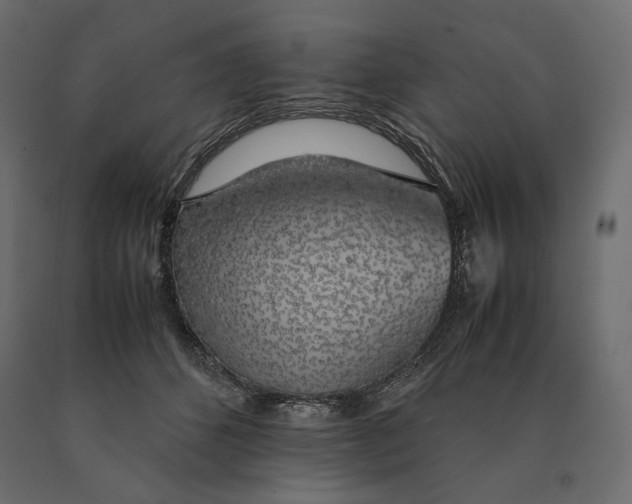 X0000090470512200708031308