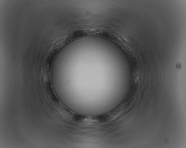 X0000090470515200708031308