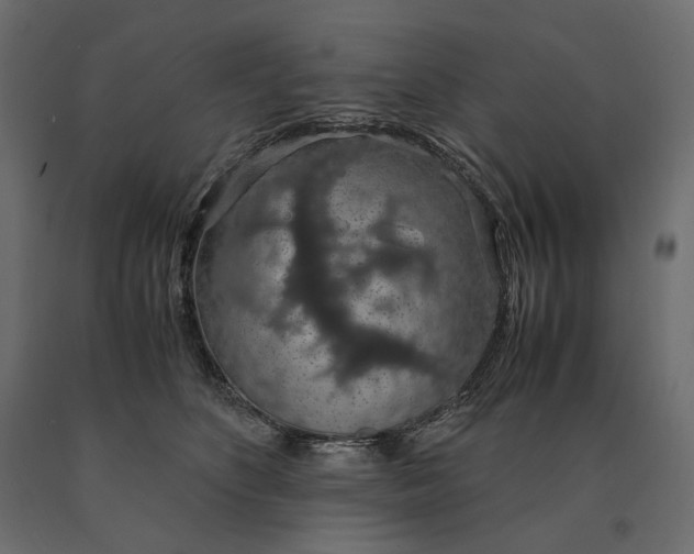 X0000090470516200708031308