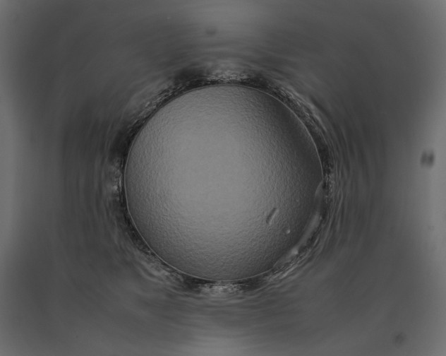 X0000090470517200708031308