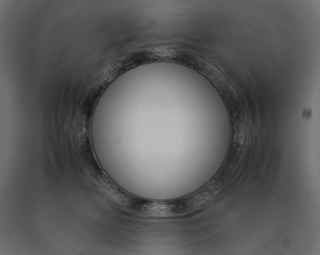 X0000090470518200708031308