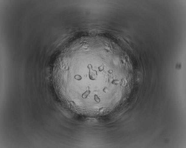 X0000090470519200708031308