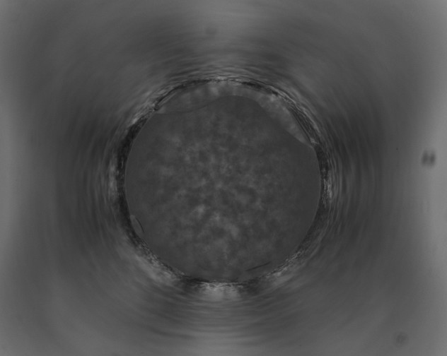 X0000090470520200708031308