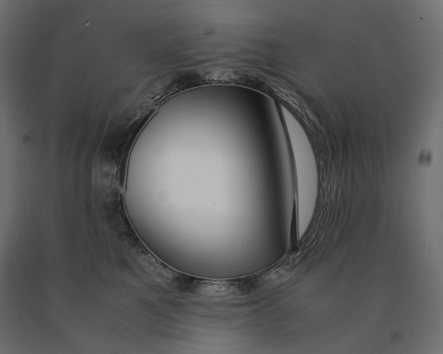 X0000090470521200708031308