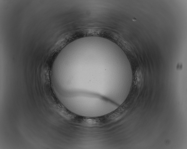 X0000090470522200708031308