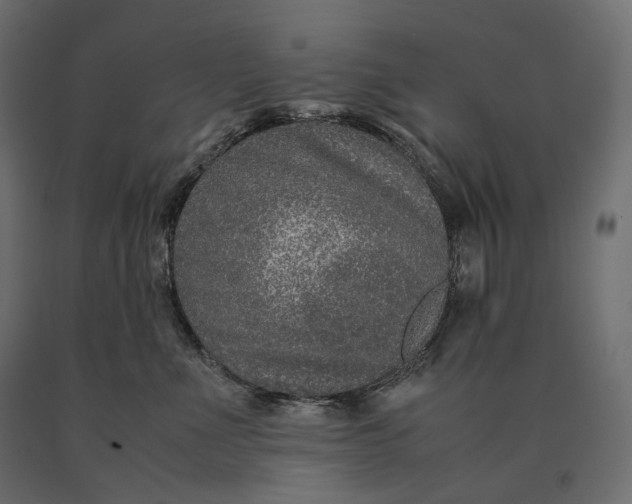 X0000090470523200708031307