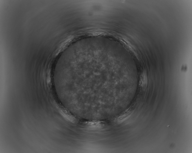 X0000090470524200708031307