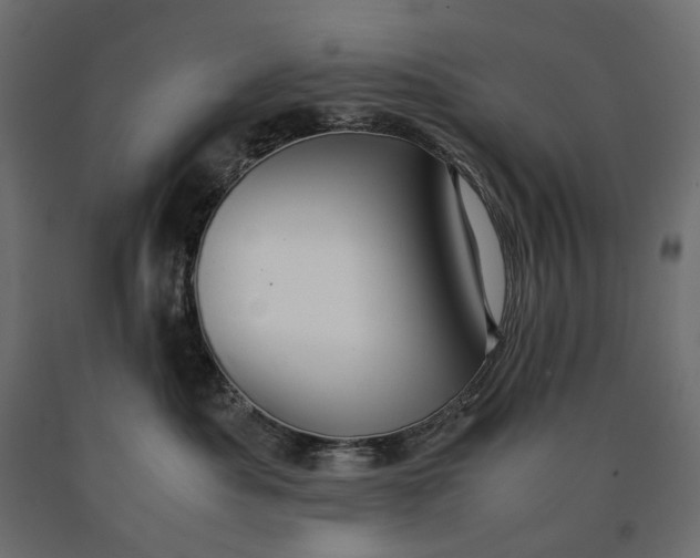 X0000090470525200708031307