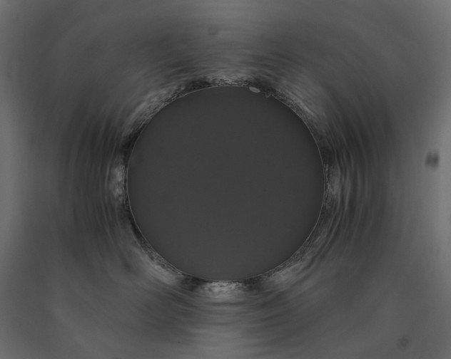 X0000090470526200708031307