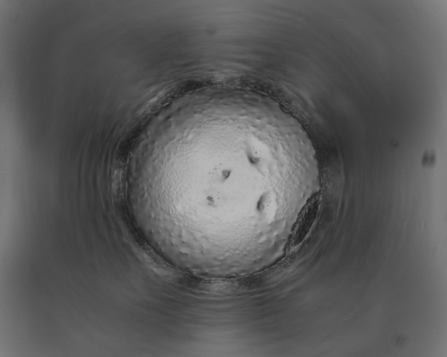 X0000090470527200708031307