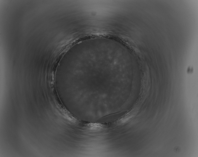 X0000090470528200708031307