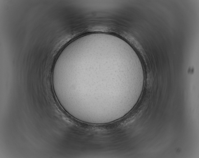 X0000090470529200708031307