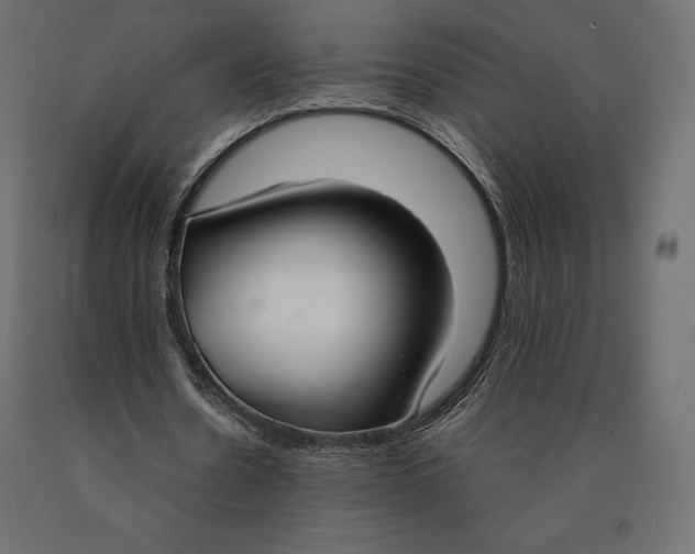 X0000090470530200708031307