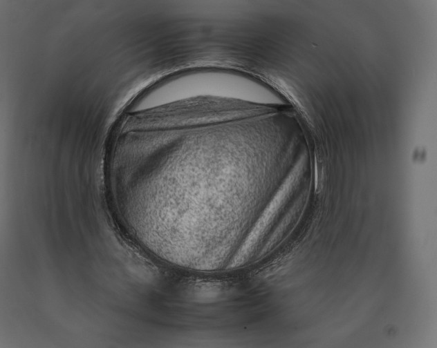 X0000090470531200708031307