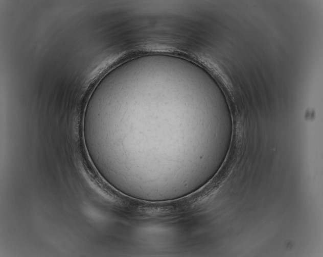 X0000090470533200708031307