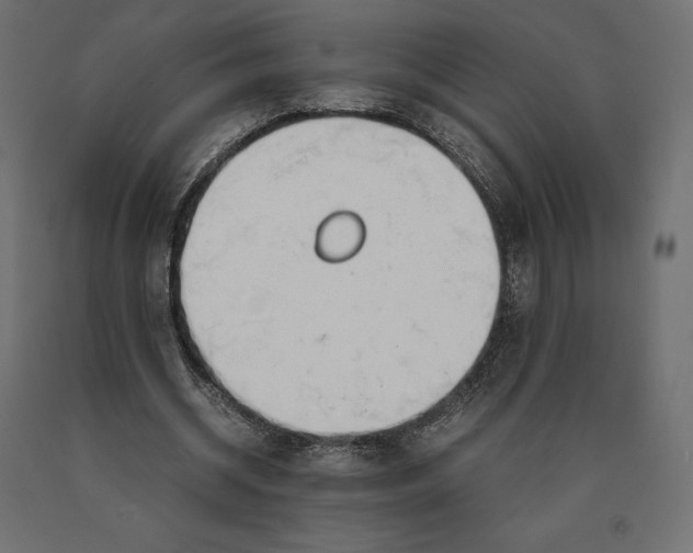 X0000090470534200708031307