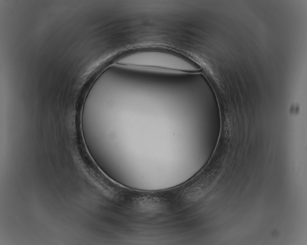 X0000090470535200708031307